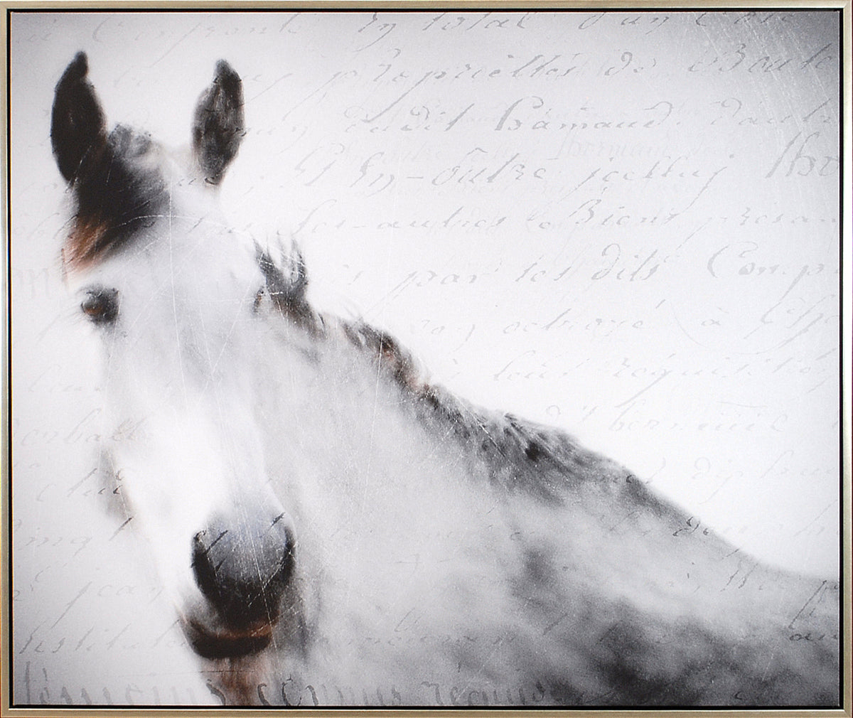Romance equino