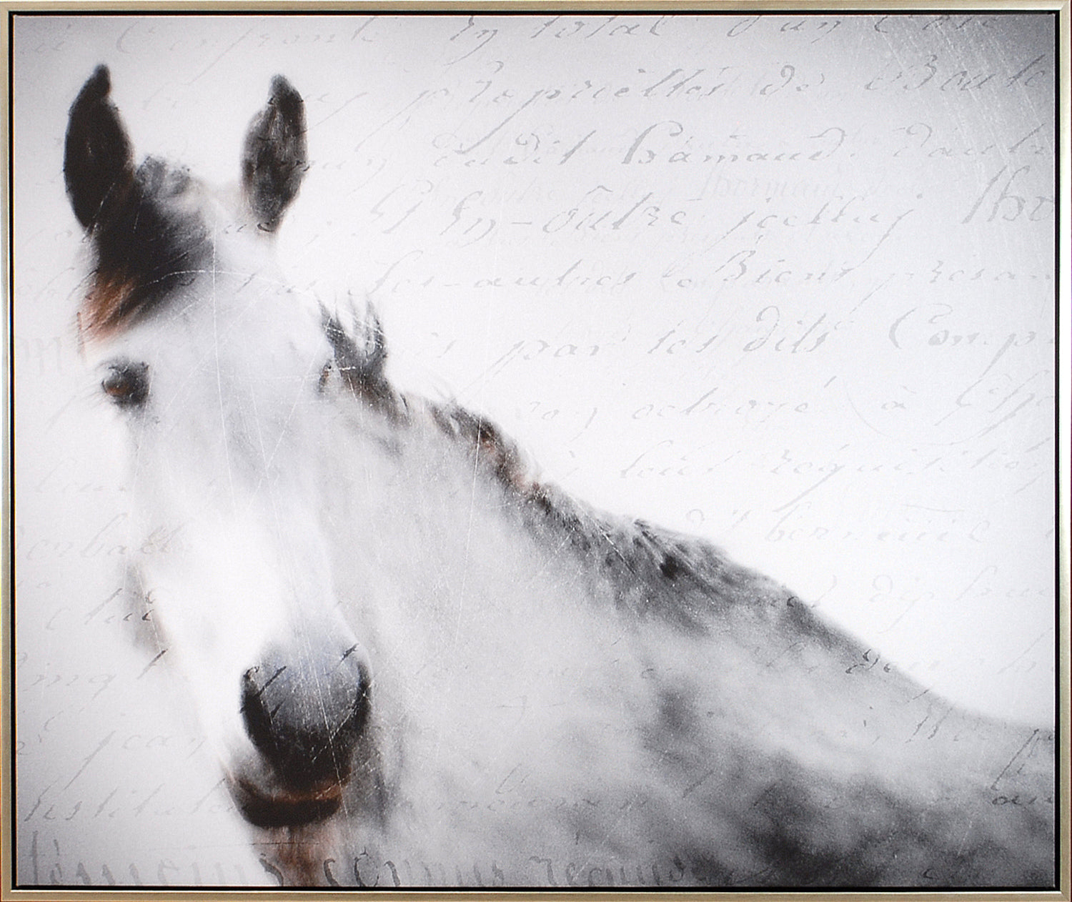 Romance equino