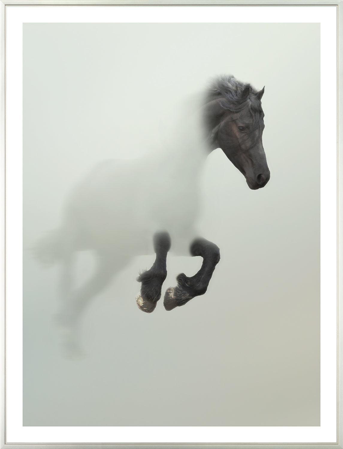 Caballo negro en la niebla