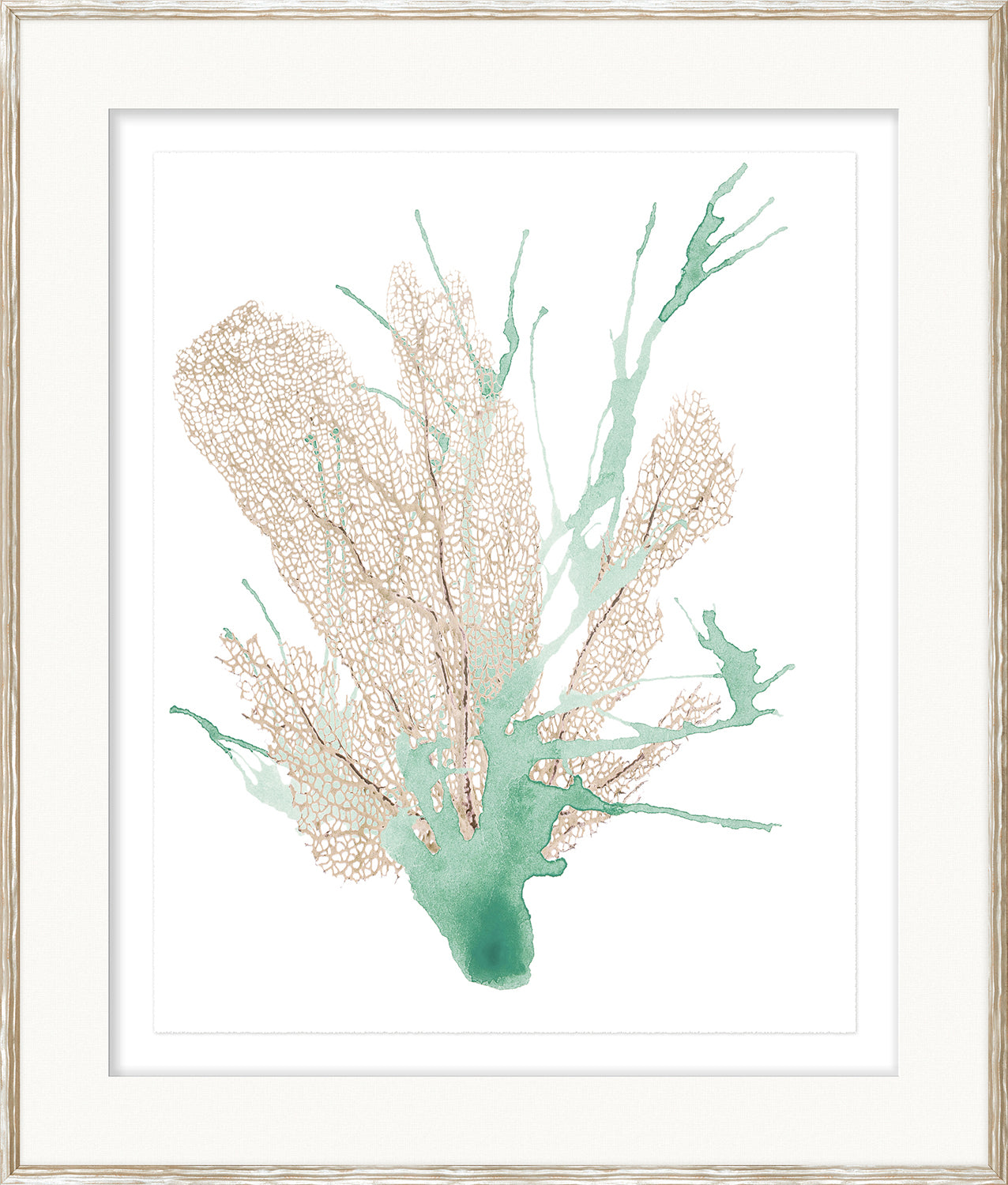 Spa Coral I wall art featuring soft green and beige coral illustration on white background
