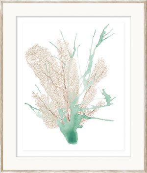 Spa Coral I wall art featuring soft green and beige coral illustration on white background