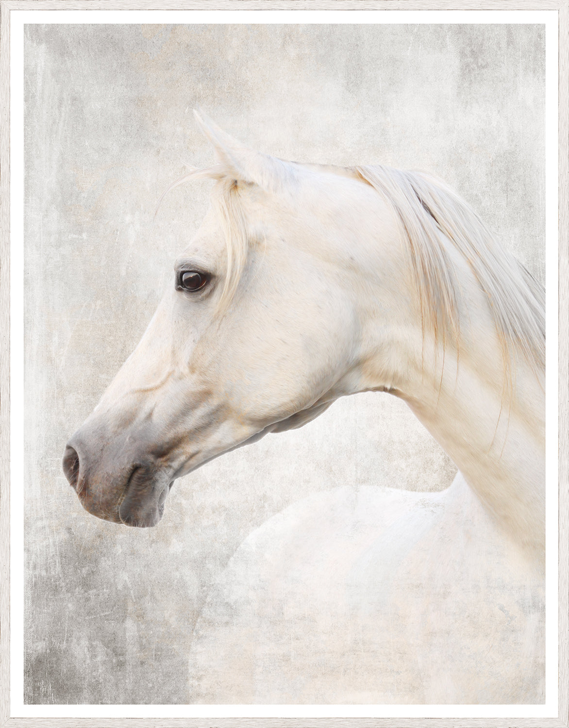 Árabe Blanco