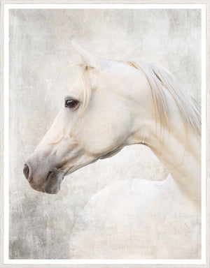 Árabe Blanco