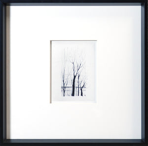 Grabado de árbol