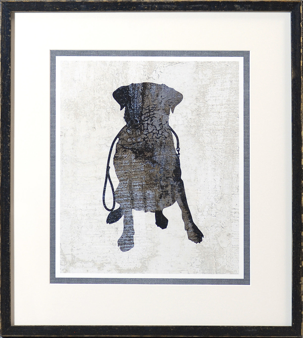 Compañero canino – Labrador, Paseos