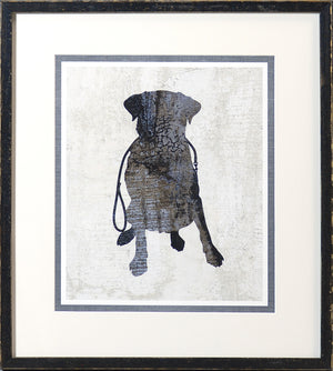 Compañero canino – Labrador, Paseos