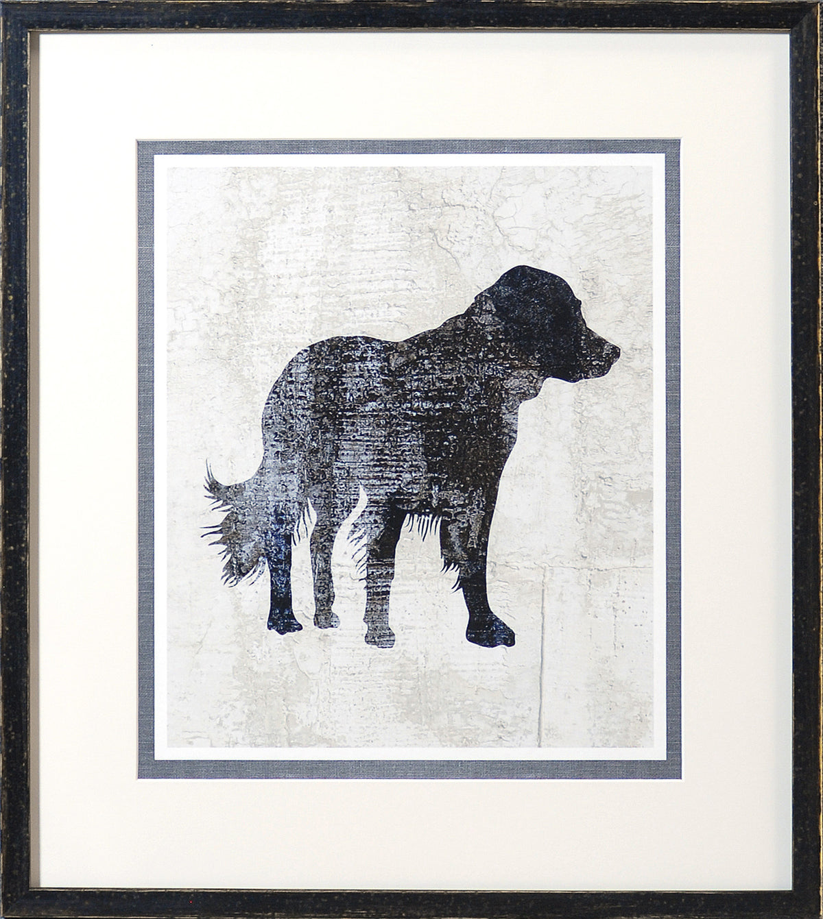 Compañero canino – Retriever
