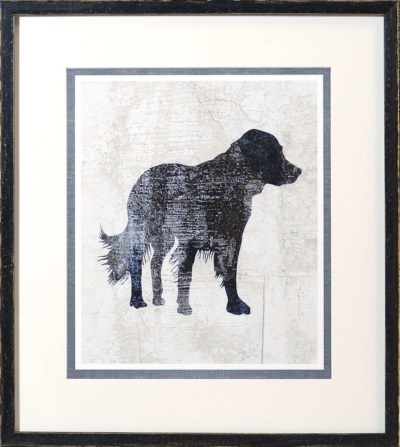 Compañero canino – Retriever