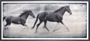 Movimiento Equino