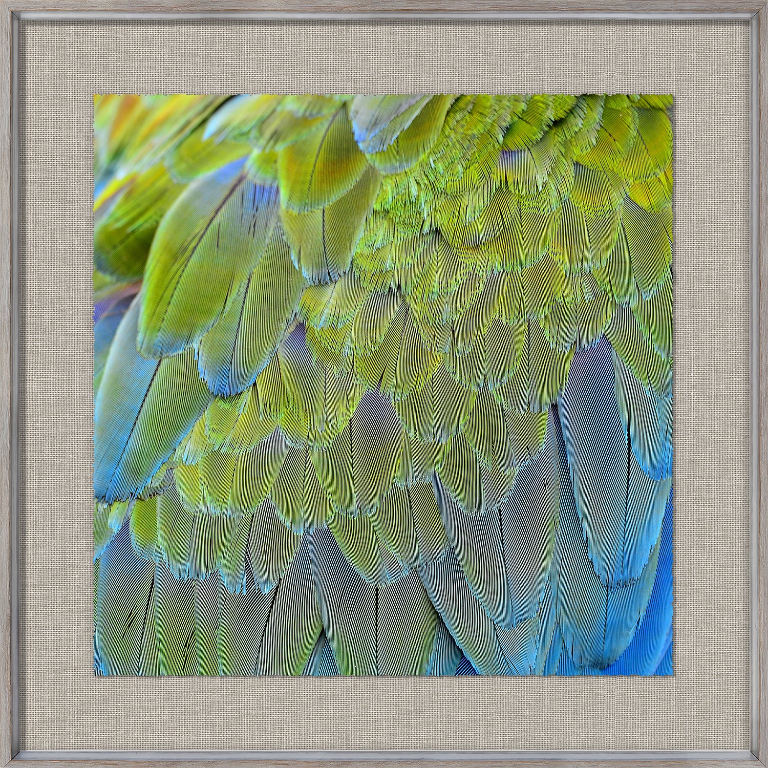 front view of Tropical Plumage I luxury Artwork