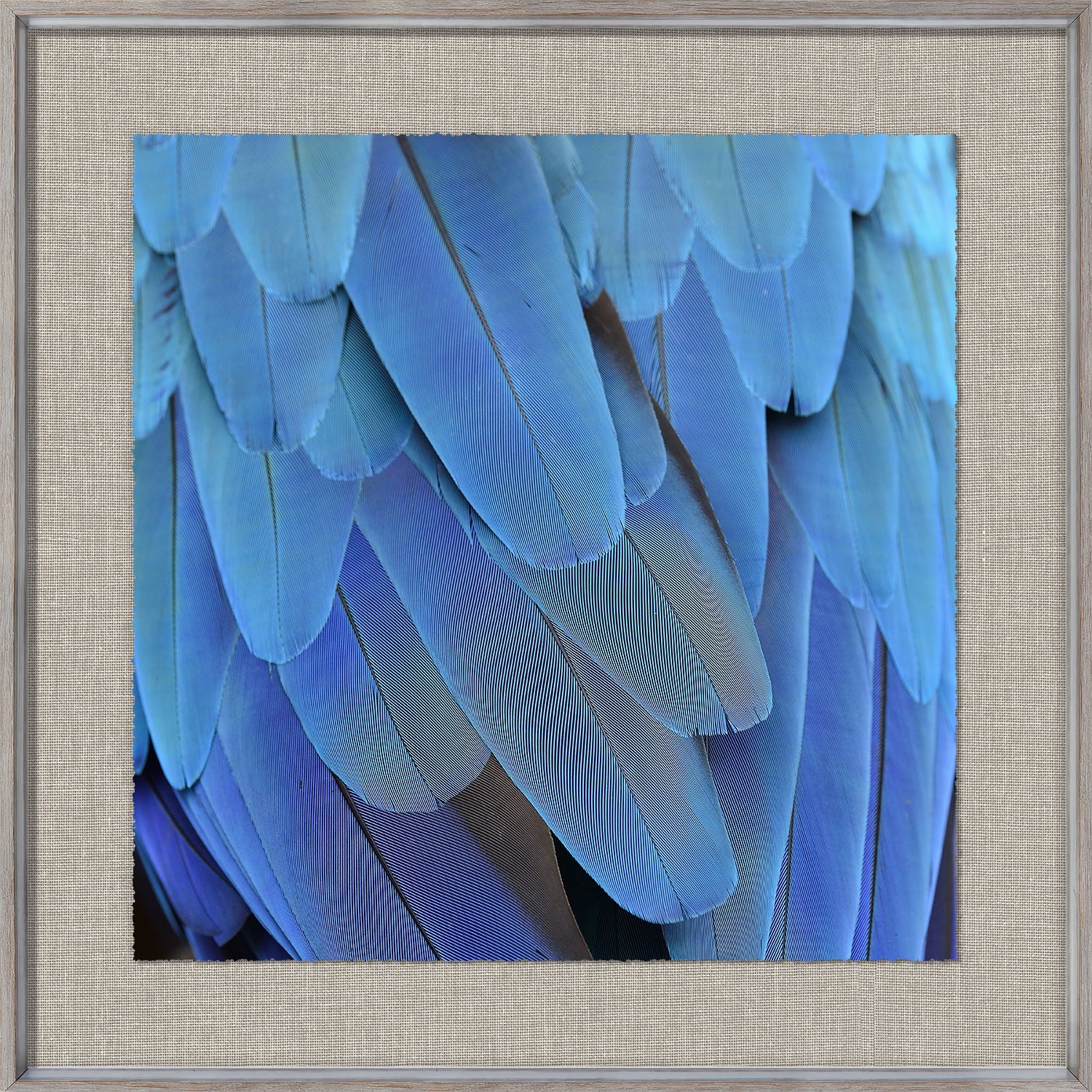 front view of Tropical Plumage II luxury Artwork