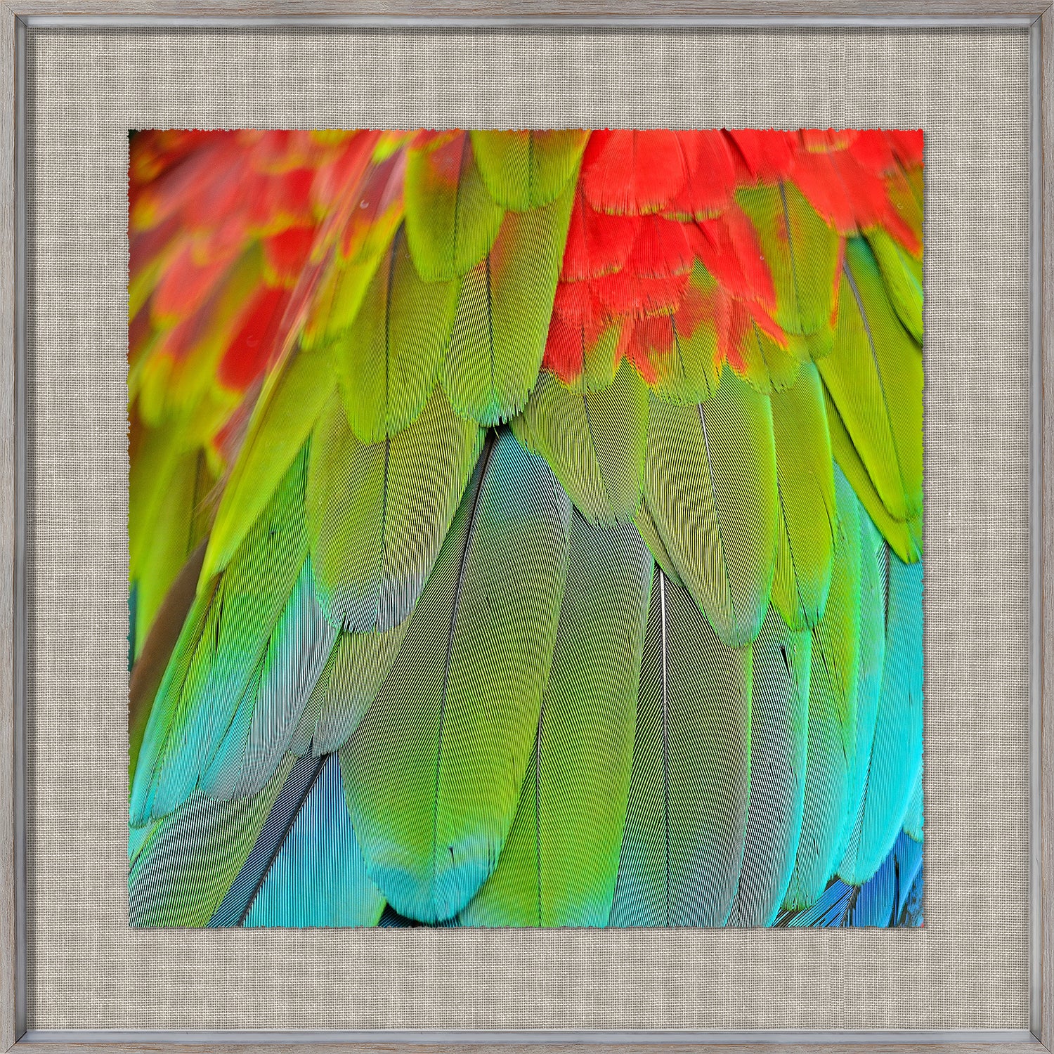 front view of Tropical Plumage III luxury Artwork
