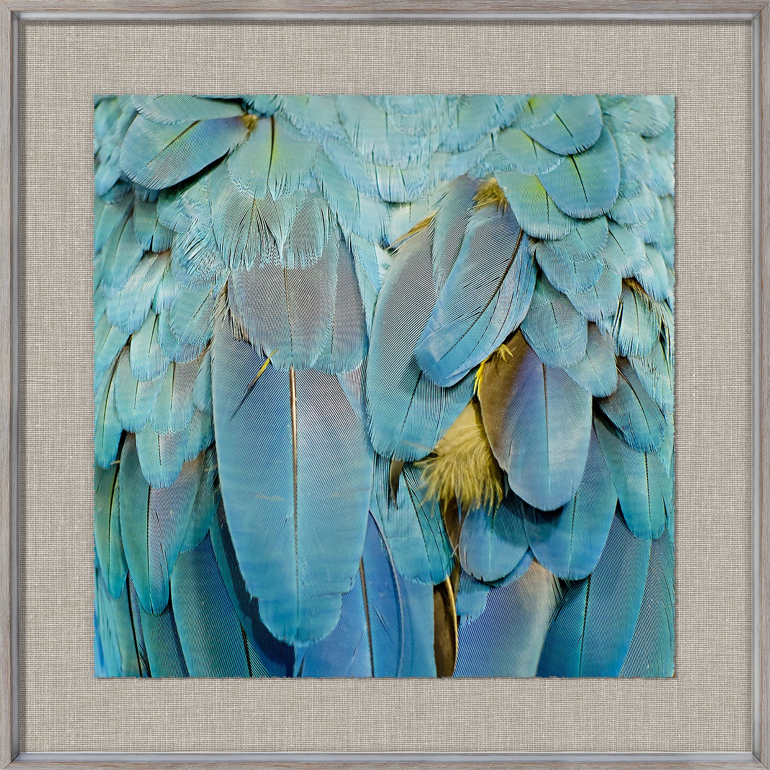 front view of Tropical Plumage IV luxury Artwork
