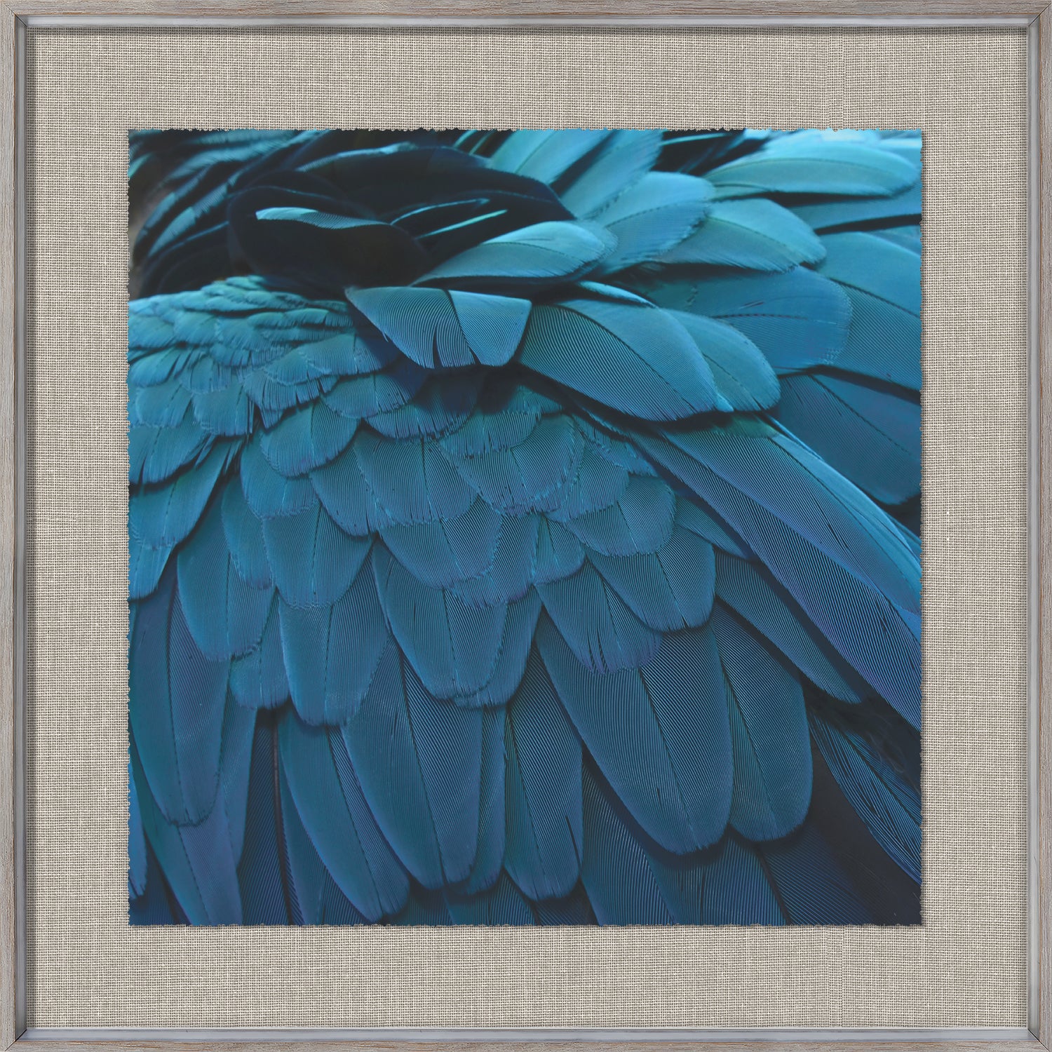 front view of Tropical Plumage V luxury Artwork
