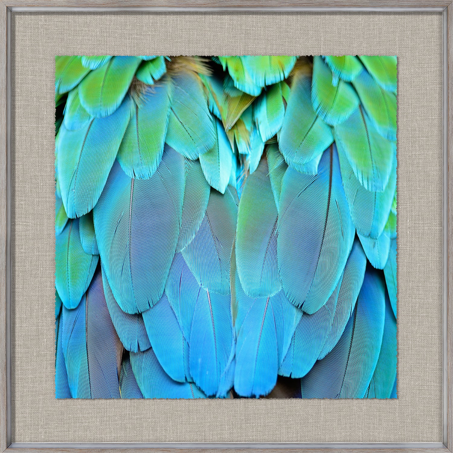 front view of Tropical Plumage VI luxury Artwork