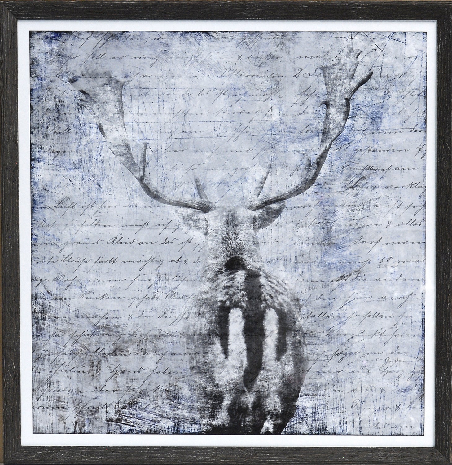 Novedad: Morador del bosque II