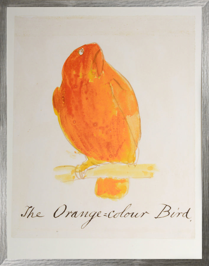 El pájaro de color naranja