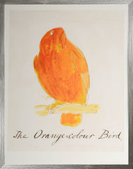 29 × 36 in