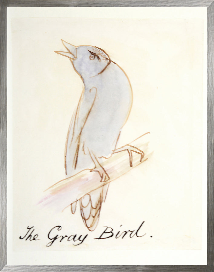 El pájaro gris