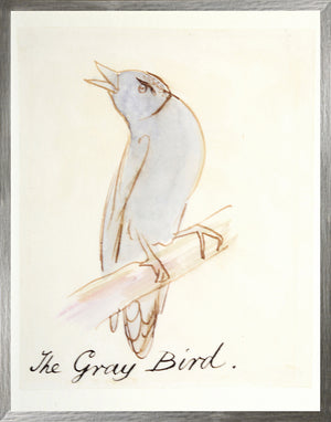 El pájaro gris