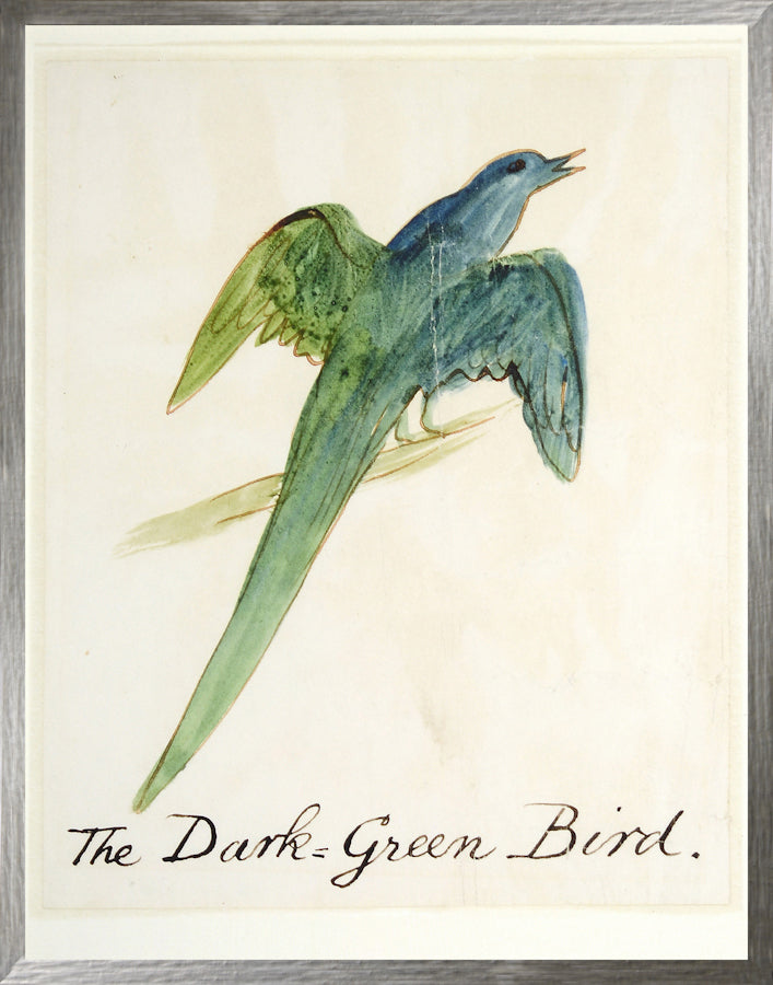 El pájaro verde oscuro