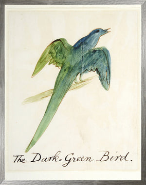 El pájaro verde oscuro