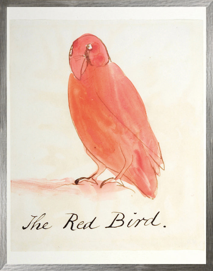 L'oiseau rouge
