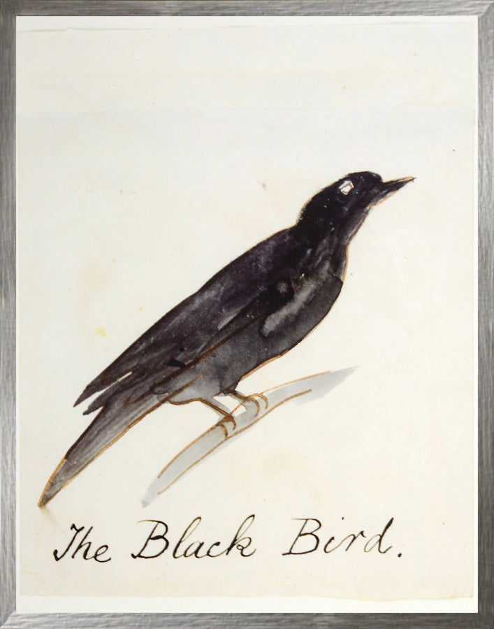L'Oiseau noir