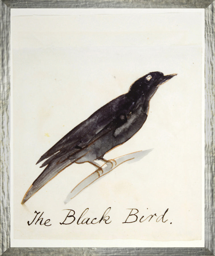 The Black Bird framed art print