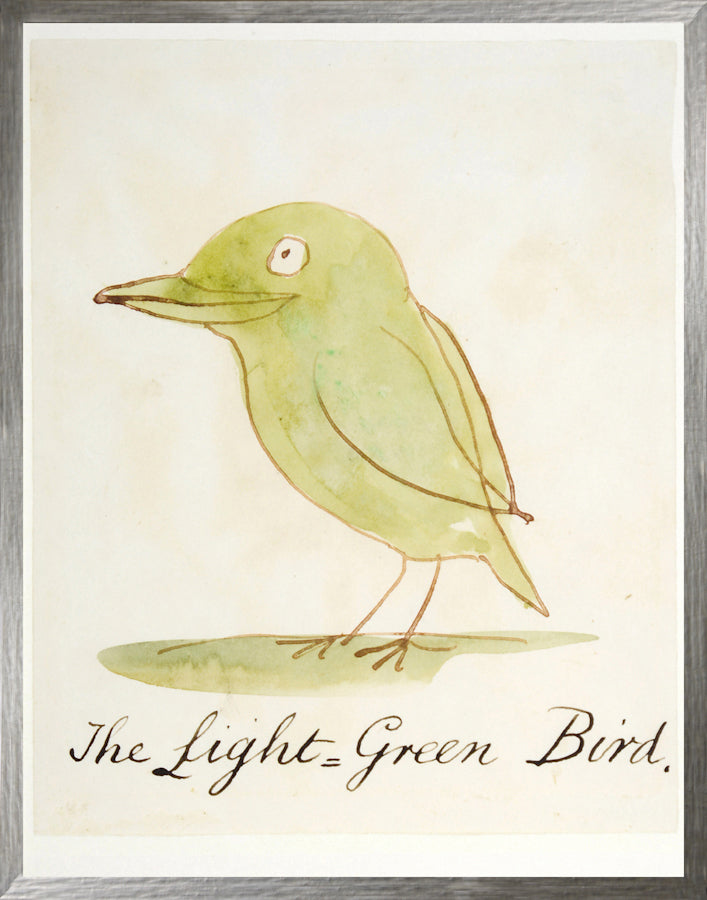 L'oiseau vert clair