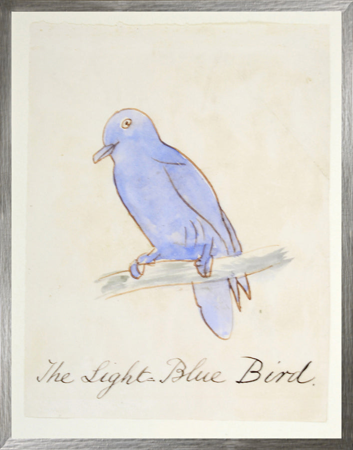 L'Oiseau bleu clair