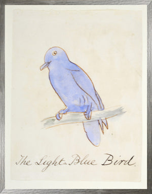 El pájaro azul claro