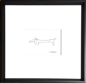 Perro Picasso