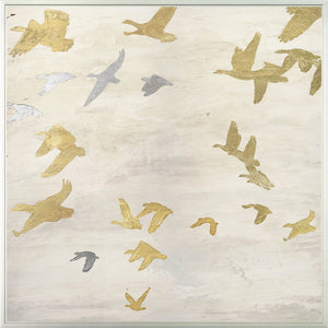 Migración Vuelo IV (B-Right)