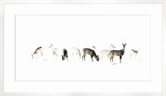 62,25 × 36,25 po – Cadre blanc