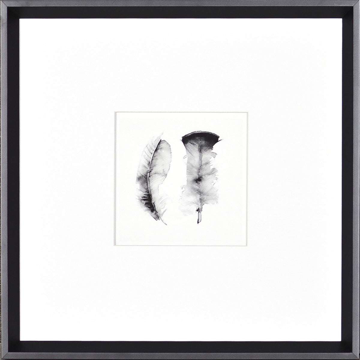 Plumes à l'aquarelle