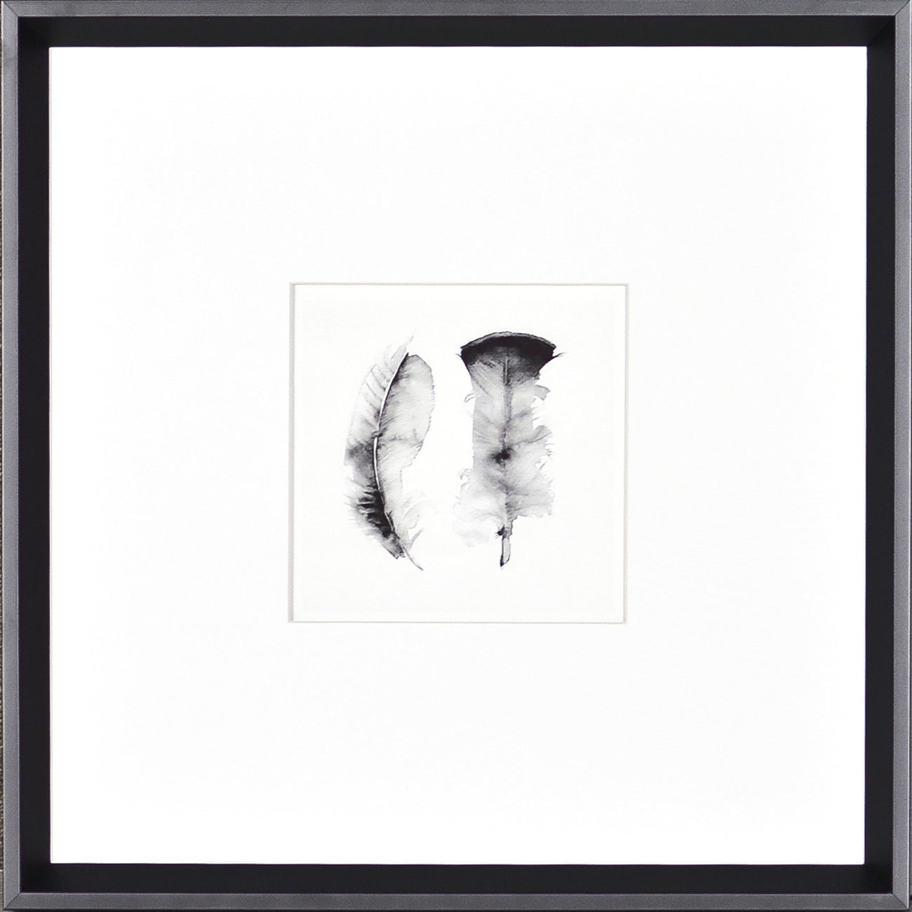 Plumes à l'aquarelle
