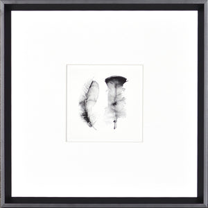 Plumes à l'aquarelle