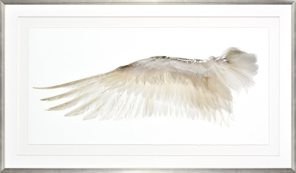 Wings Of A Feather I