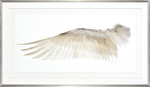 Wings Of A Feather I