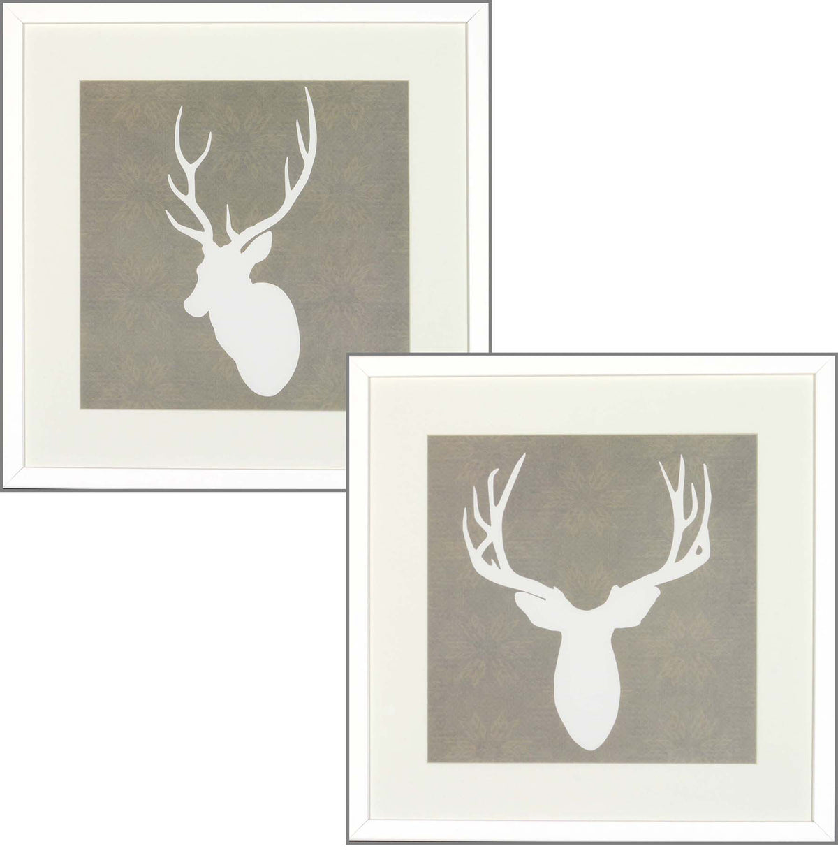 Buck S/2