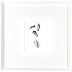 17 × 17 in – White Frame