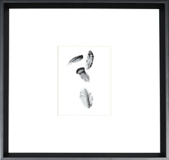 17.25 × 17.25 in – Black Frame