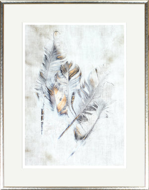 Plumas Tocadas por el Cobre II
