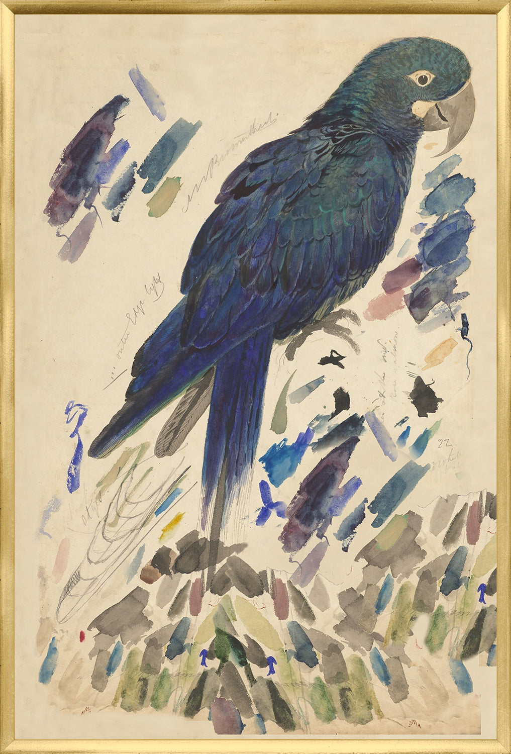 Lear – Loro azul