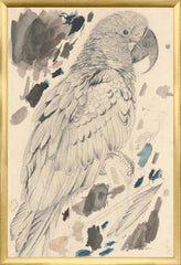 17,25 × 25,25 pouces