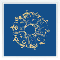 38,75 × 38,75 pulg. – Azul oscuro, Pan de oro