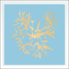 38.75 × 38.75 in – Azul claro, pan de oro