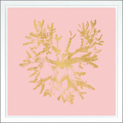 38.75 × 38.75 pulg. – Rosa, Gild - Dorado