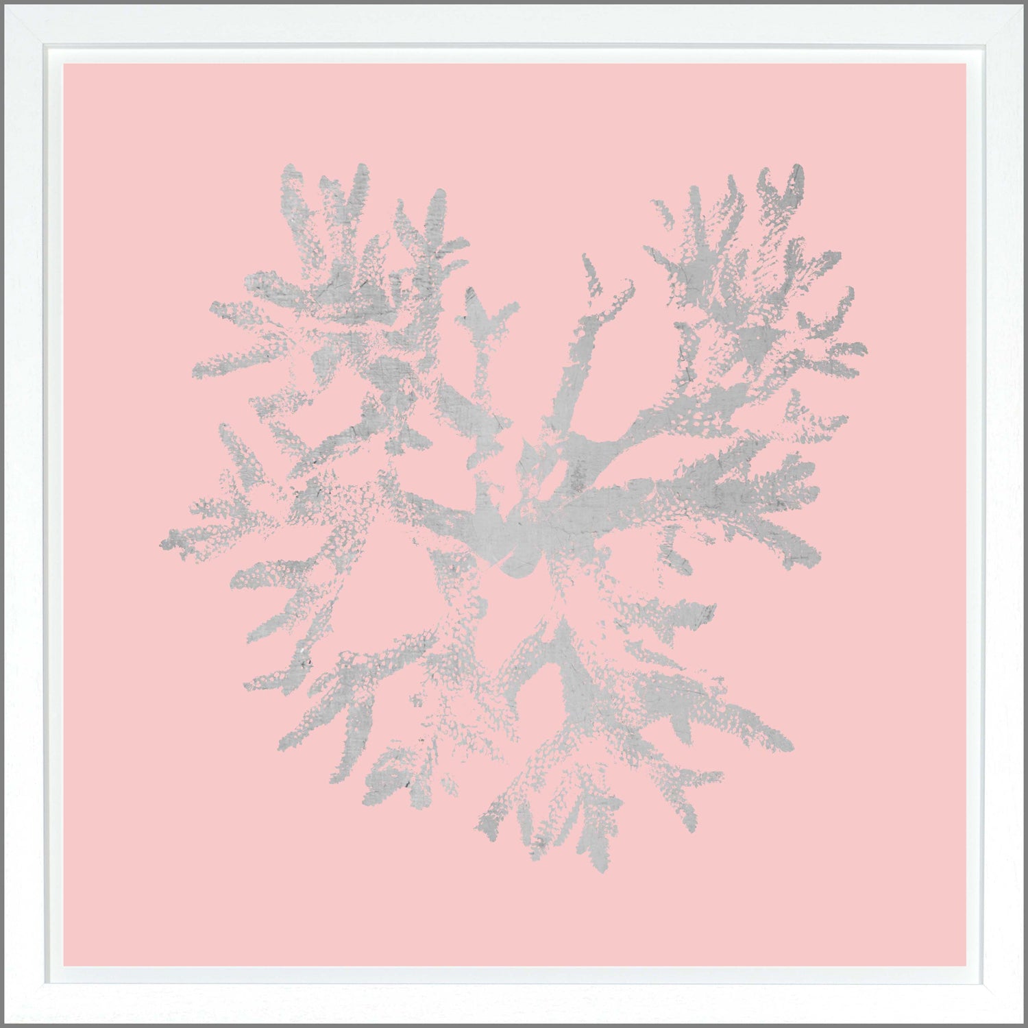 Coral — nature and landscape fine art print shown from another angle